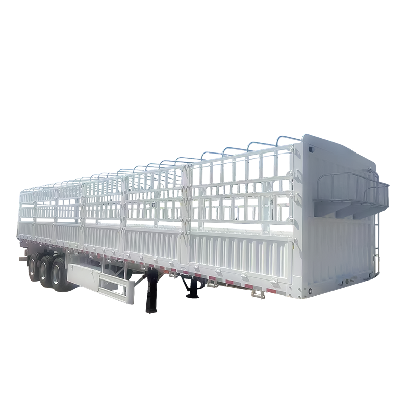 CN-81-315T